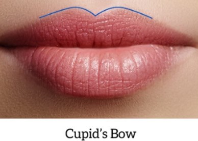 lips